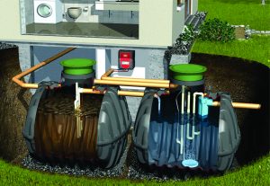 ecolosystems
