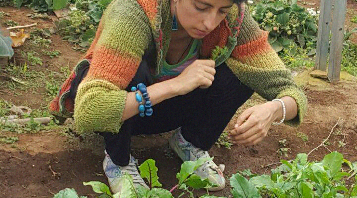 Maestría en agroecología, egresada de la maestría