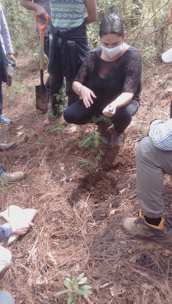 Maestría en agroecología, suelos