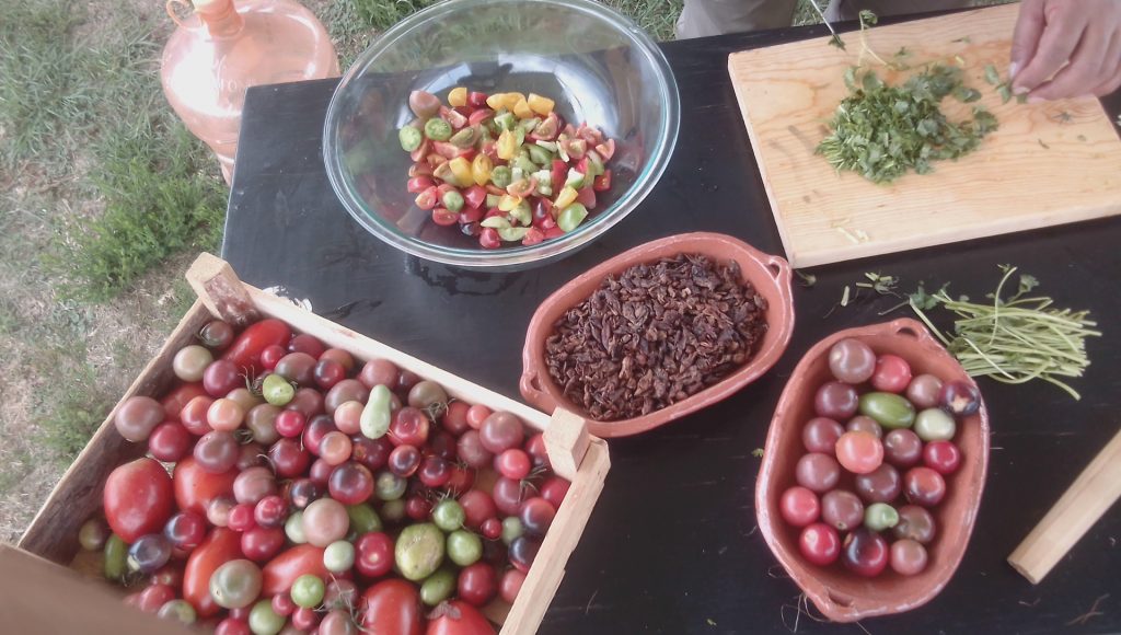 Maestría en agroecología, Sistema Alimentario